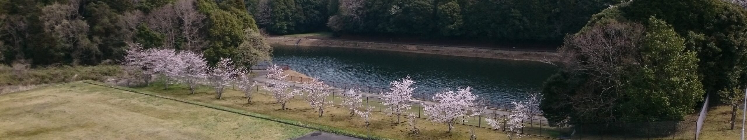 トップスライダーイメージ