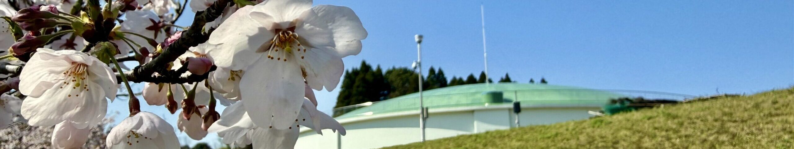 トップスライダーイメージ